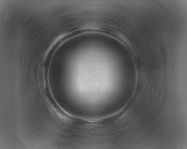 X0000053071123200507111211