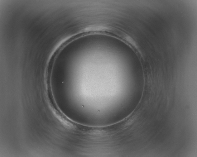 X0000053071124200507111211