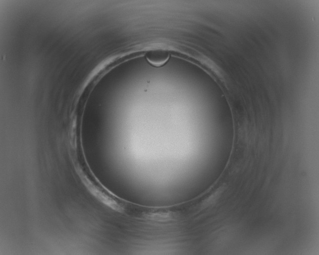 X0000053071126200507111211
