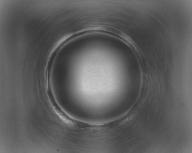 X0000053071127200507111211