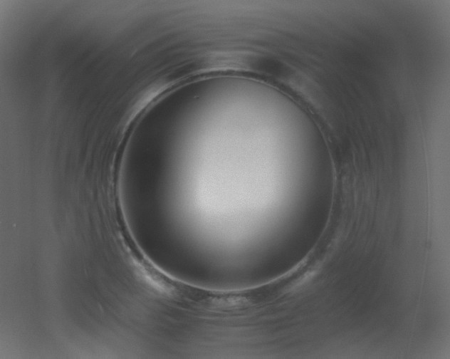 X0000053071129200507111211