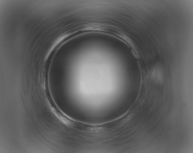 X0000053071131200507111211