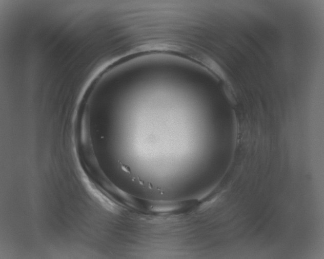 X0000053071132200507111211
