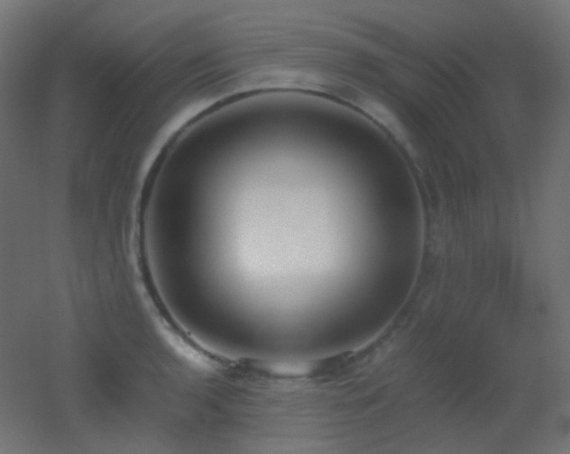 X0000053071136200507111211