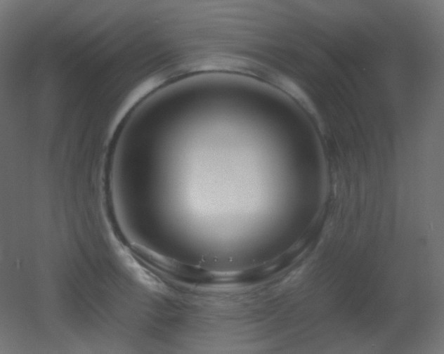 X0000053071138200507111211