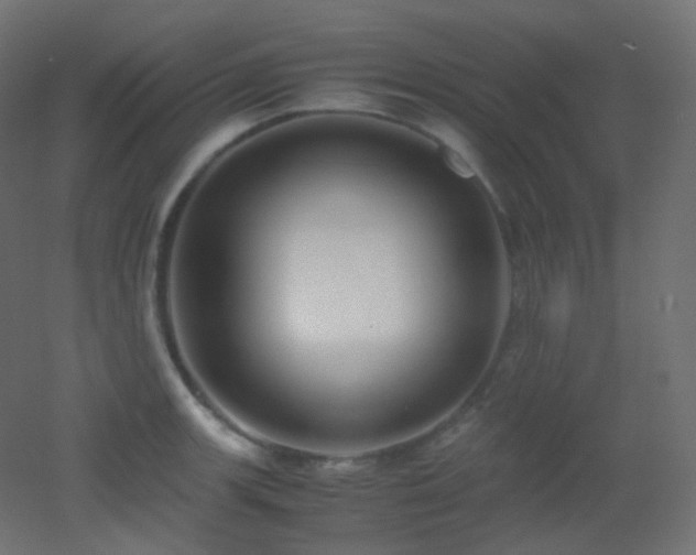 X0000053071139200507111211