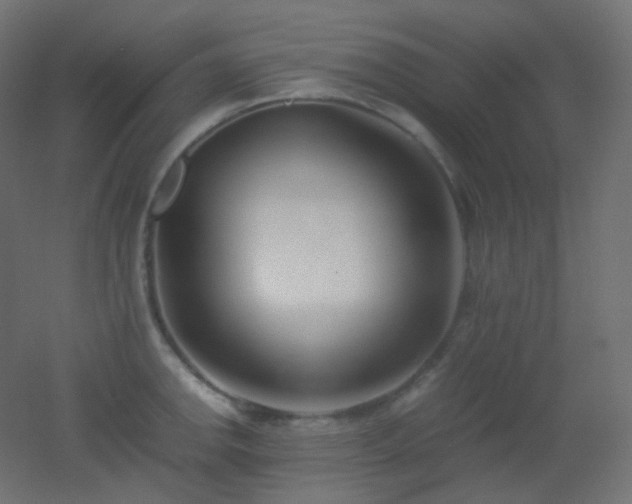 X0000053071142200507111211