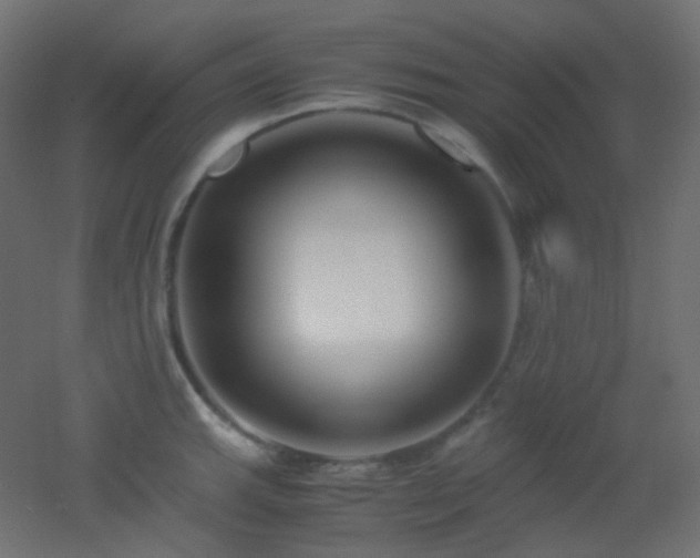 X0000053071143200507111211
