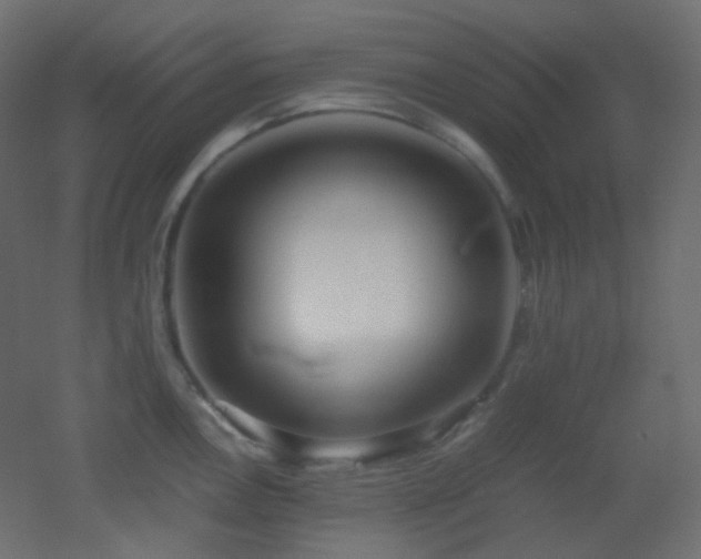 X0000053071146200507111211