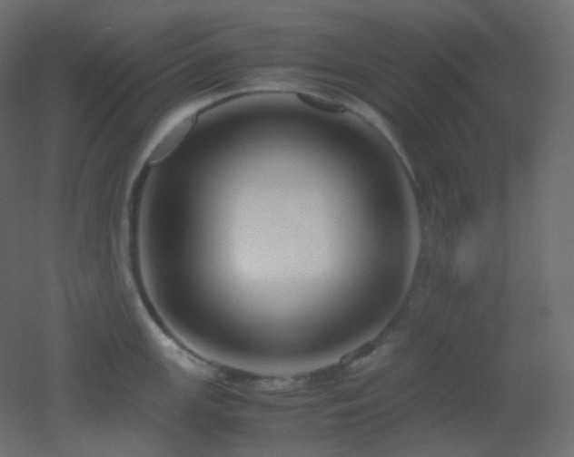 X0000053071147200507111211