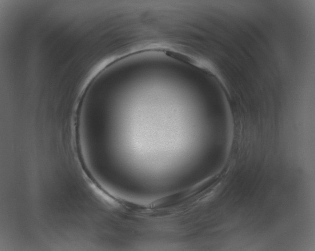 X0000053071151200507111211