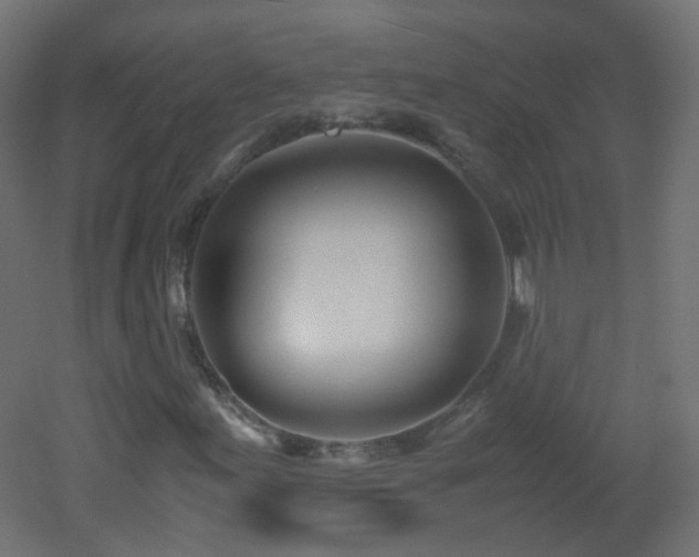 X0000053071155200507111211