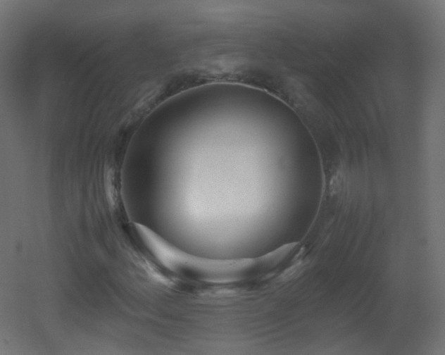 X0000053071156200507111211