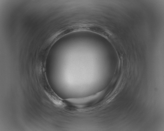 X0000053071161200507111211