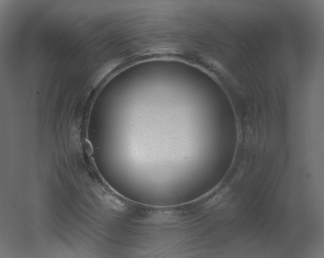 X0000053071162200507111211