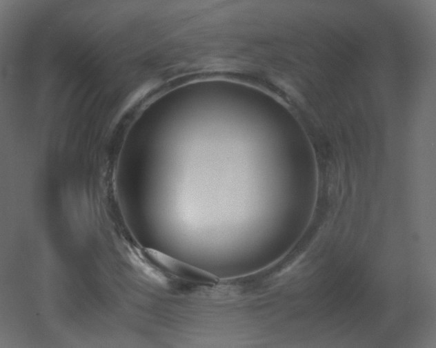 X0000053071163200507111211