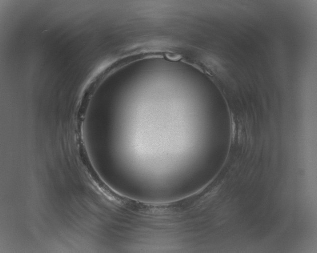 X0000053071164200507111211