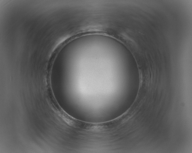 X0000053071166200507111210