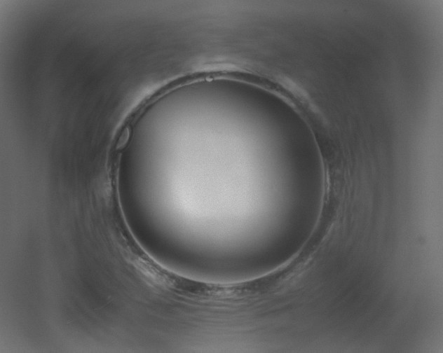 X0000053071167200507111210