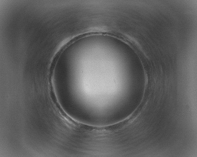 X0000053071168200507111210