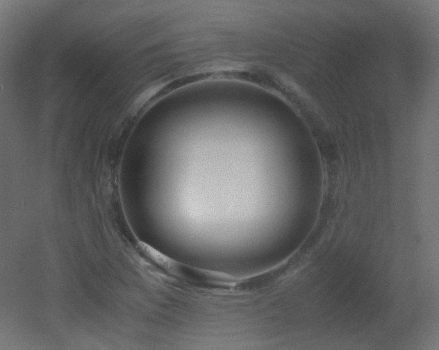 X0000053071169200507111210