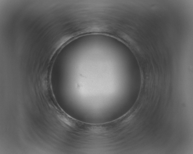 X0000053071170200507111210