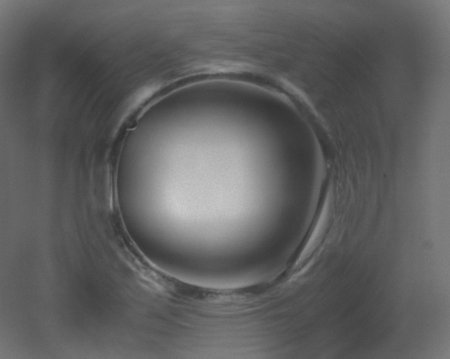 X0000053071171200507111210