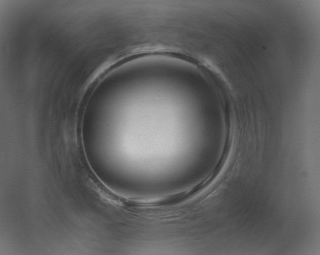X0000053071173200507111210