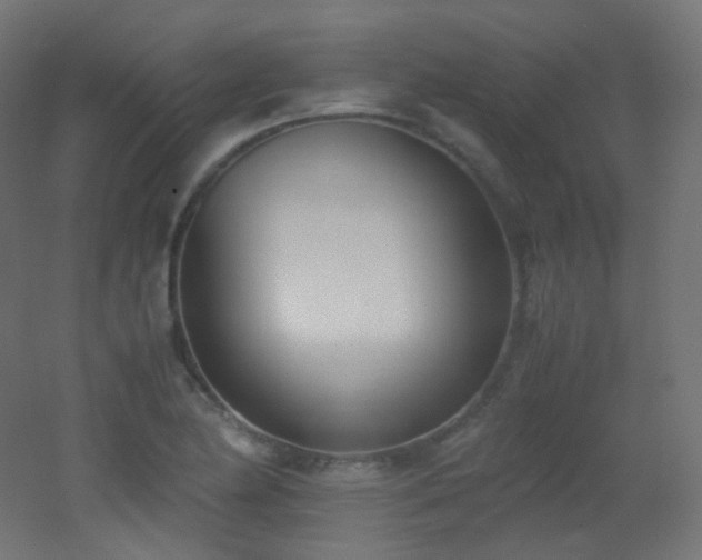 X0000053071174200507111210