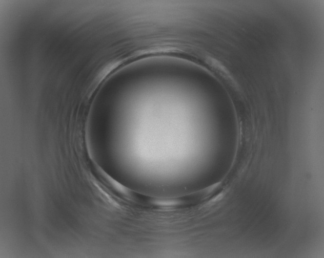 X0000053071177200507111210