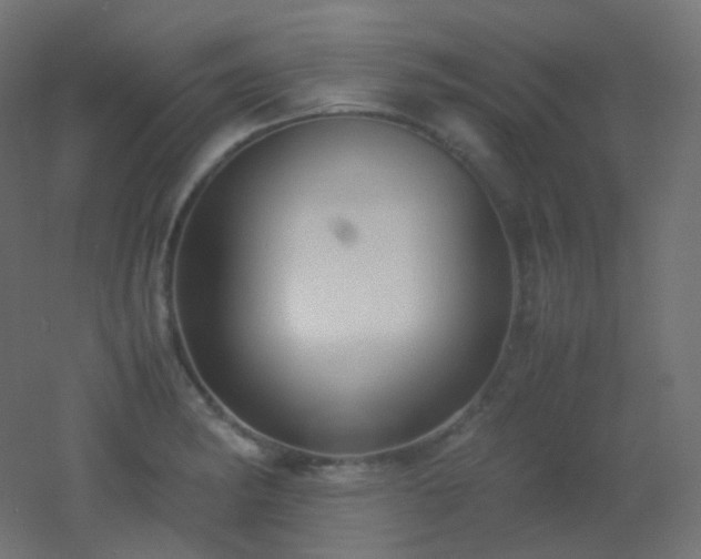 X0000053071182200507111210
