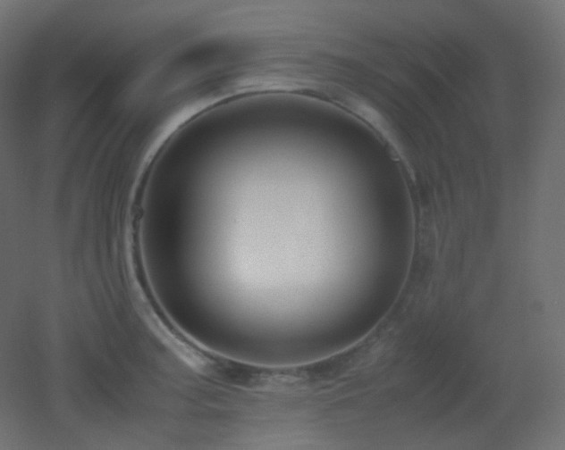 X0000053071187200507111210