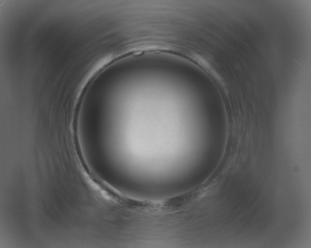 X0000053071189200507111210