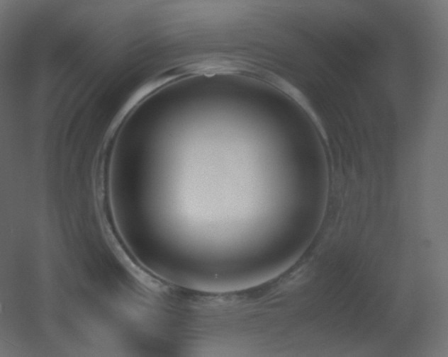 X0000053071195200507111210