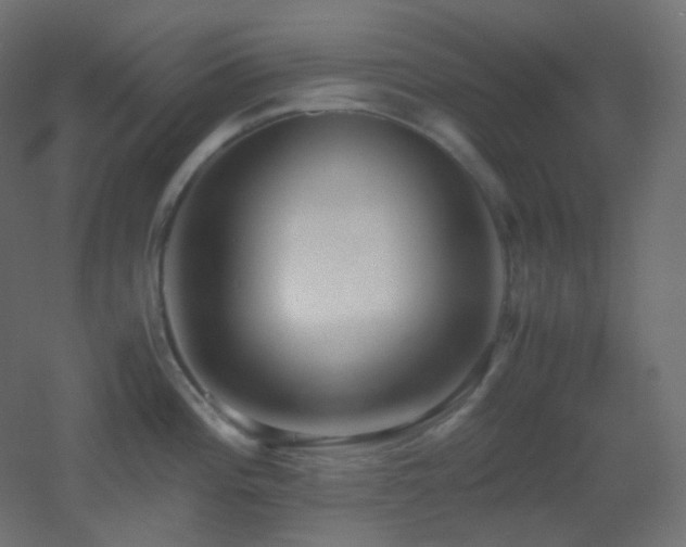 X0000053071196200507111210