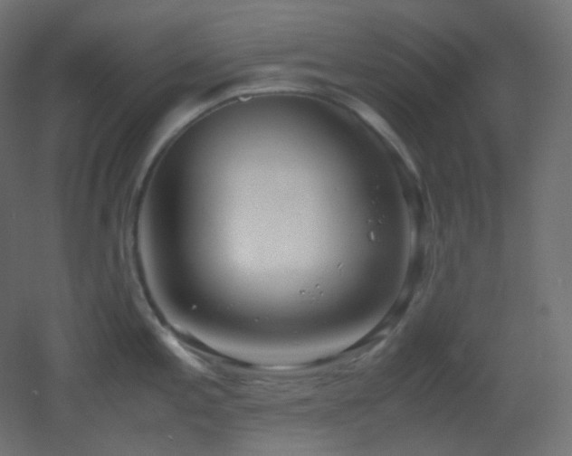 X0000053071197200507111210