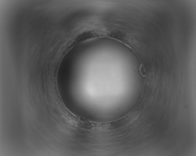 X0000053071201200507111209