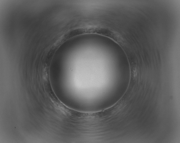 X0000053071204200507111209
