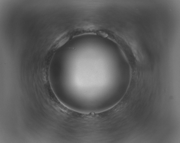 X0000053071205200507111209