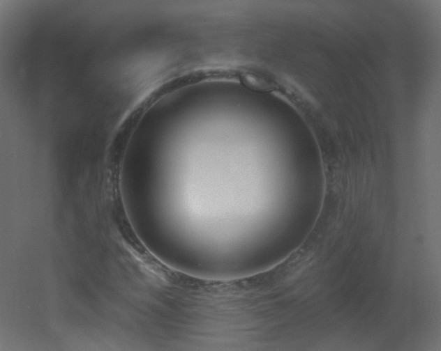 X0000053071208200507111209