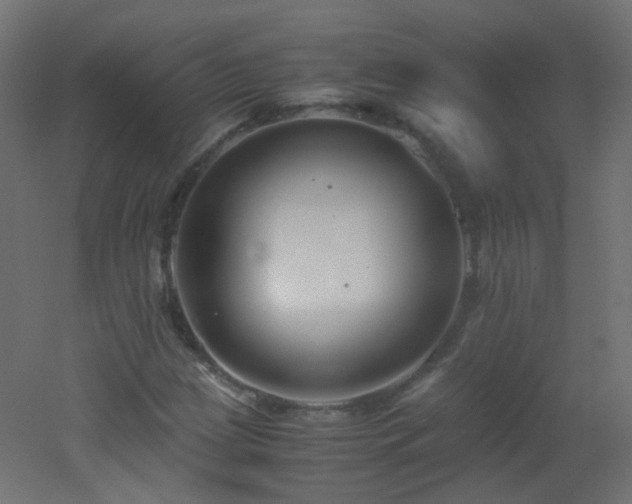 X0000053071209200507111209