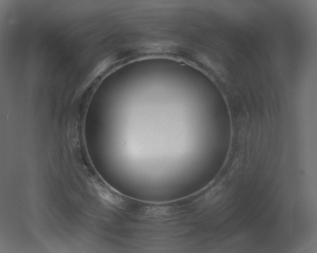 X0000053071211200507111209