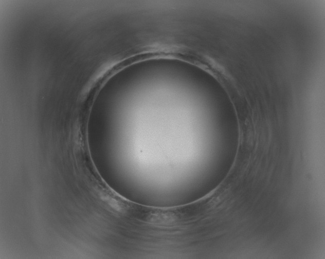 X0000053071215200507111209