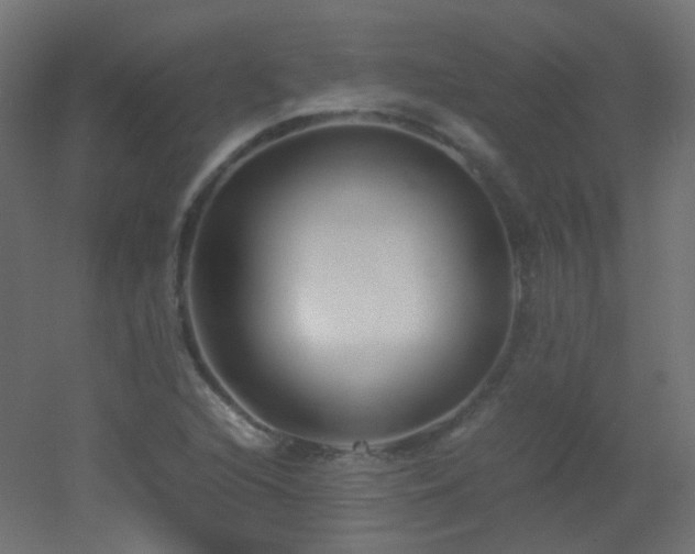 X0000053071216200507111209