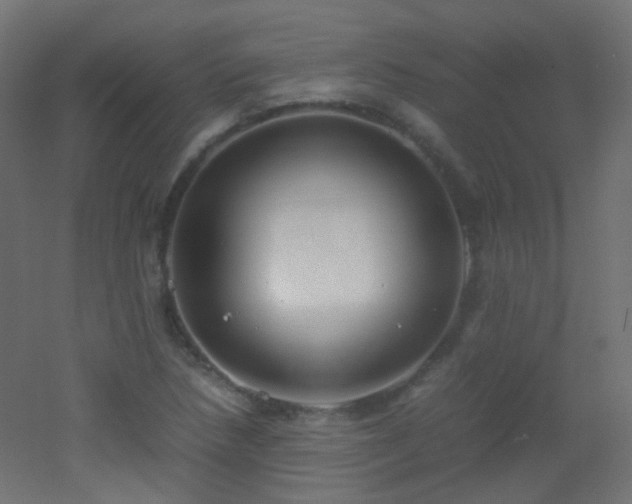 X0000053071218200507111209