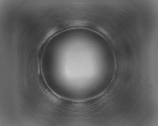 X0000053071219200507111209