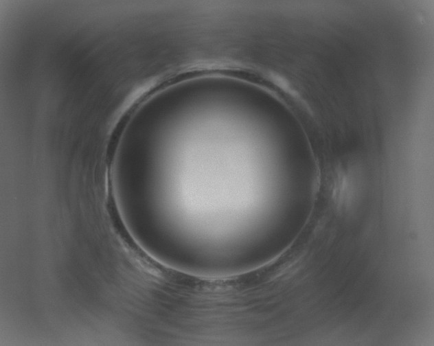 X0000053071221200507111209