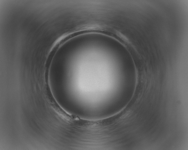 X0000053071222200507111209