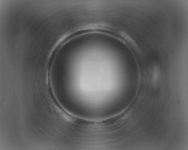 X0000053071224200507111209