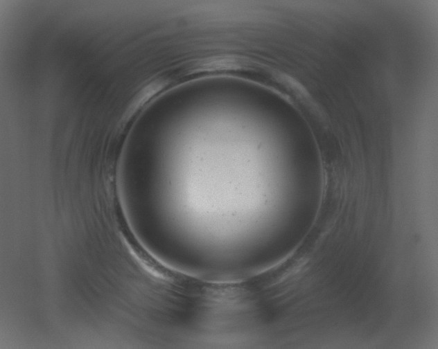 X0000053071225200507111209